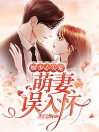 顾少心尖宠:萌妻误入怀