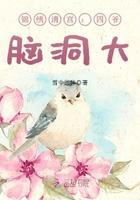 锦绣清宫:四爷,脑洞大