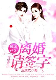 情谋已久:沈先生离婚请签字