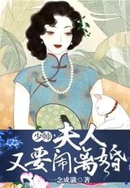 少帅,夫人又要闹离婚