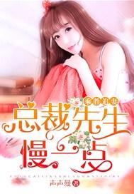 乘胜追妻:总裁先生慢一点