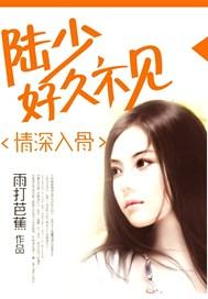 情深入骨:陆少,好久不见
