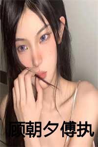 顾朝夕傅执后续