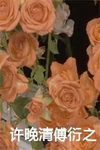 许晚清傅衍之