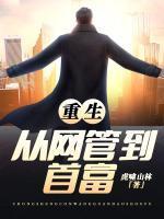 重生:从网管到首富
