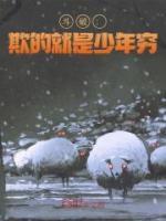 斗破:欺的就是少年穷