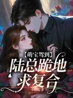 萌宝驾到,陆总跪地求复合