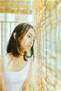 畅销小说推荐穿书:怎么每个世界都有几个主角