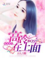 麻辣甜妻:高冷BOSS在上面