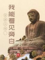 穿越大明,我能看见旁白