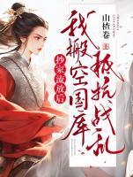 抄家流放后,我搬空国库抵抗战乱