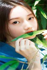 短篇小说凡域逆袭成神王朝