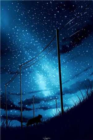 畅读精品小说宠妾灭妻,我改嫁病弱王爷谋权篡位