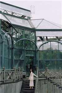 精选全文重逢:我与佳人共赏美景