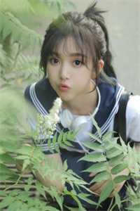 诈死后,他疯了精选小说推荐