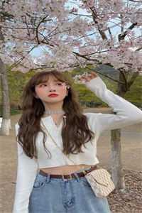 费德尔和她完整文集阅读