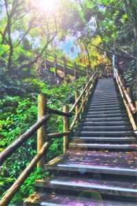 协议离婚后,前夫跪着键盘求复合优质全文阅读