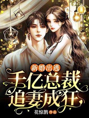 新婚出逃:千亿总裁追妻成狂