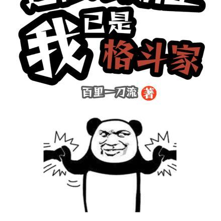 还在娘胎里,我已是格斗家