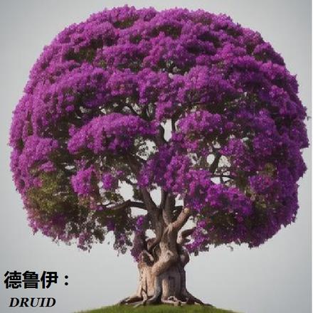 德鲁伊:自然与生命的真谛