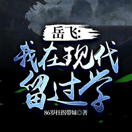 岳飞:我在现代留过学
