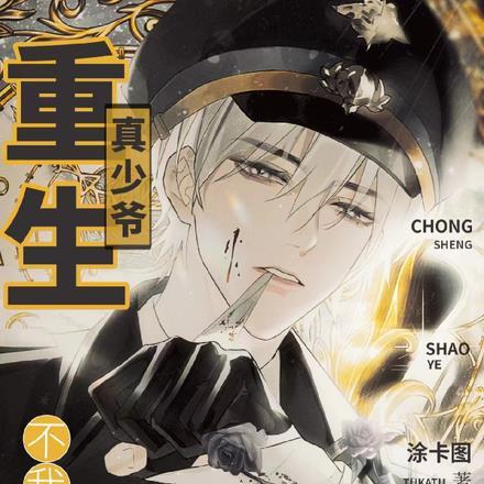 重生真少爷?不!我是复仇者