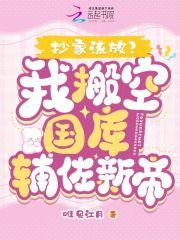 抄家流放?我搬空国库辅佐新帝