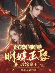 宠妾灭妻?重生明媒正娶改嫁秦王