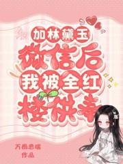 加林黛玉微信后,我被全红楼供奉