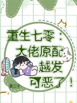 重生七零:大佬原配越发可恶了