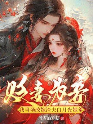 贬妻为妾,我当场改嫁渣夫白月光她爹