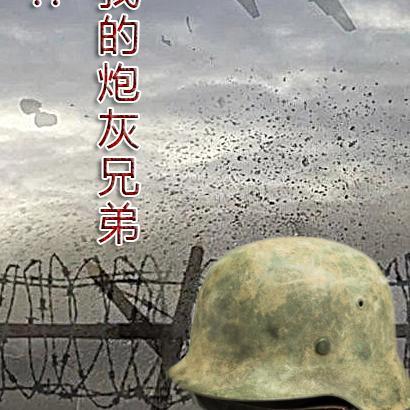 团长:我的炮灰兄弟