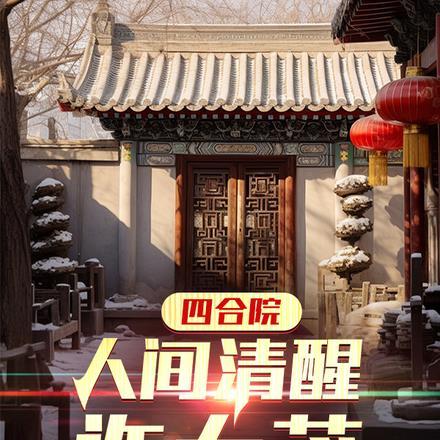 四合院:人间清醒许大茂