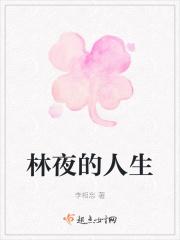 林夜的人生