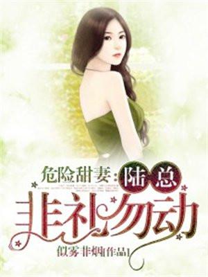 危险甜妻:陆总,非礼勿动