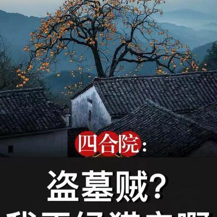 四合院:盗墓贼?我正经猎户啊