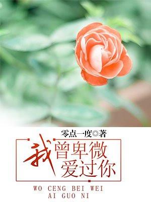 我曾卑微爱过你