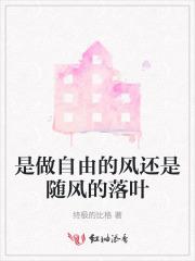 是做自由的风还是随风的落叶