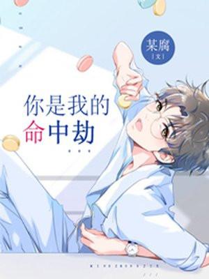 你是我的命中劫