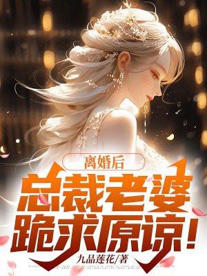 离婚后:总裁老婆跪求原谅!