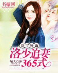 萌宝抢婚:洛少追妻365式