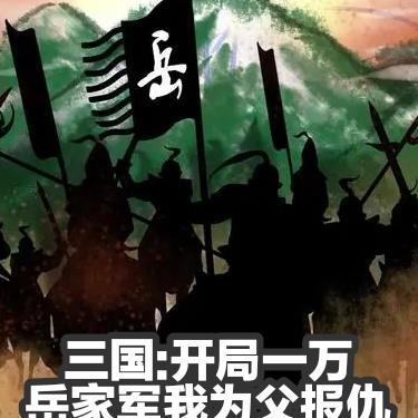 三国:开局一万岳家军我为父报仇