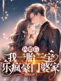 闪婚后,我一胎三宝乐疯豪门婆家
