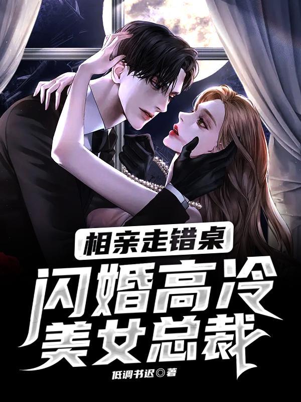 相亲走错桌,闪婚高冷美女总裁