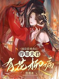 洞房花烛夜后,得知夫君有花柳病