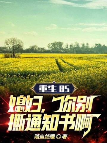 重生85:媳妇,你别撕通知书啊!
