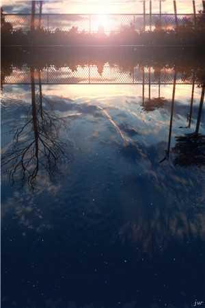 豪婚难逃:霍医生蓄谋已久