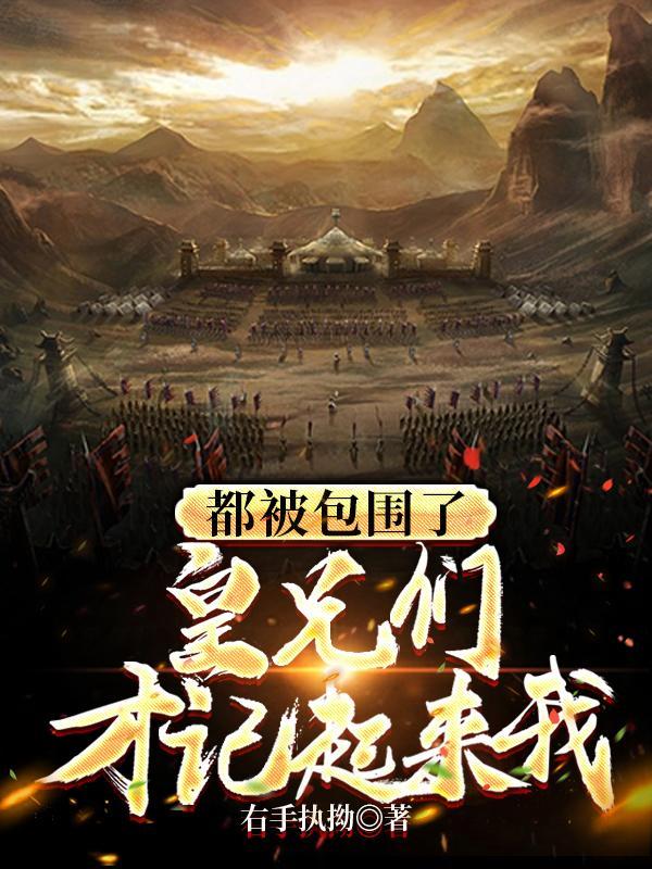 都被包围了,皇兄们才记起来我