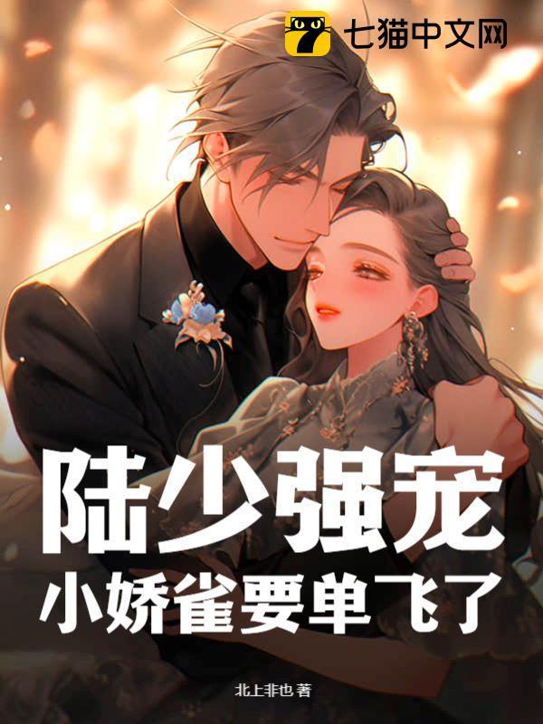 陆少强宠,小娇雀要单飞了