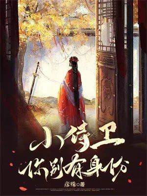 小侍卫,你别有身份